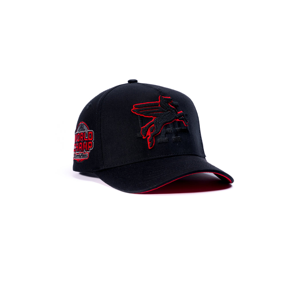 DAL PEGASUS RED OUTLINE