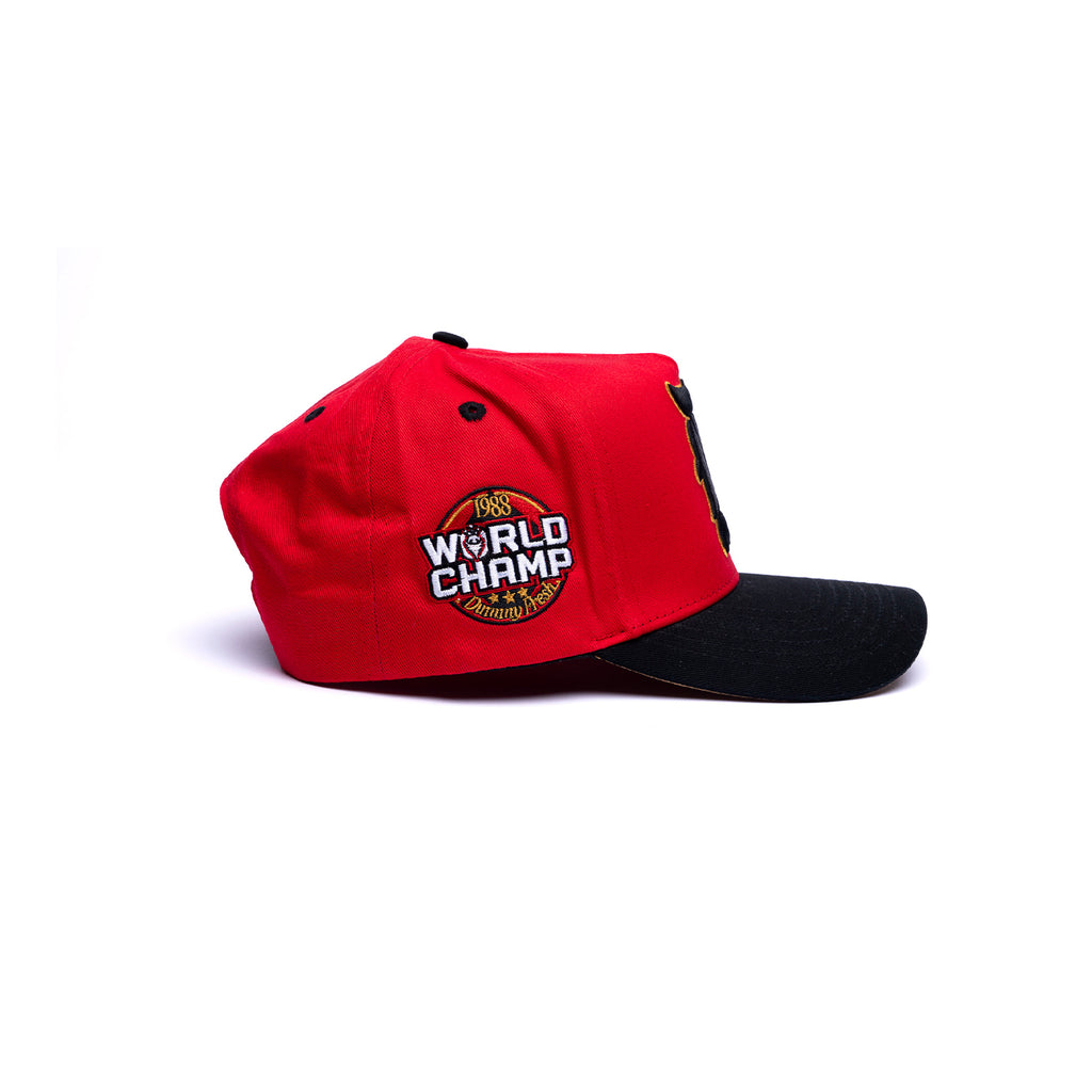 Dummyfresh World Champ Hat