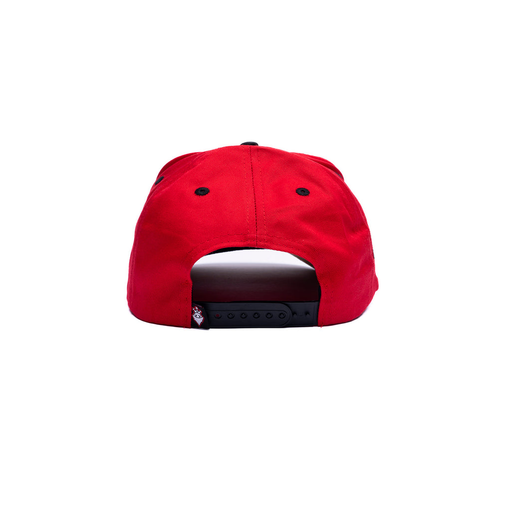 Dummyfresh World Champ Hat