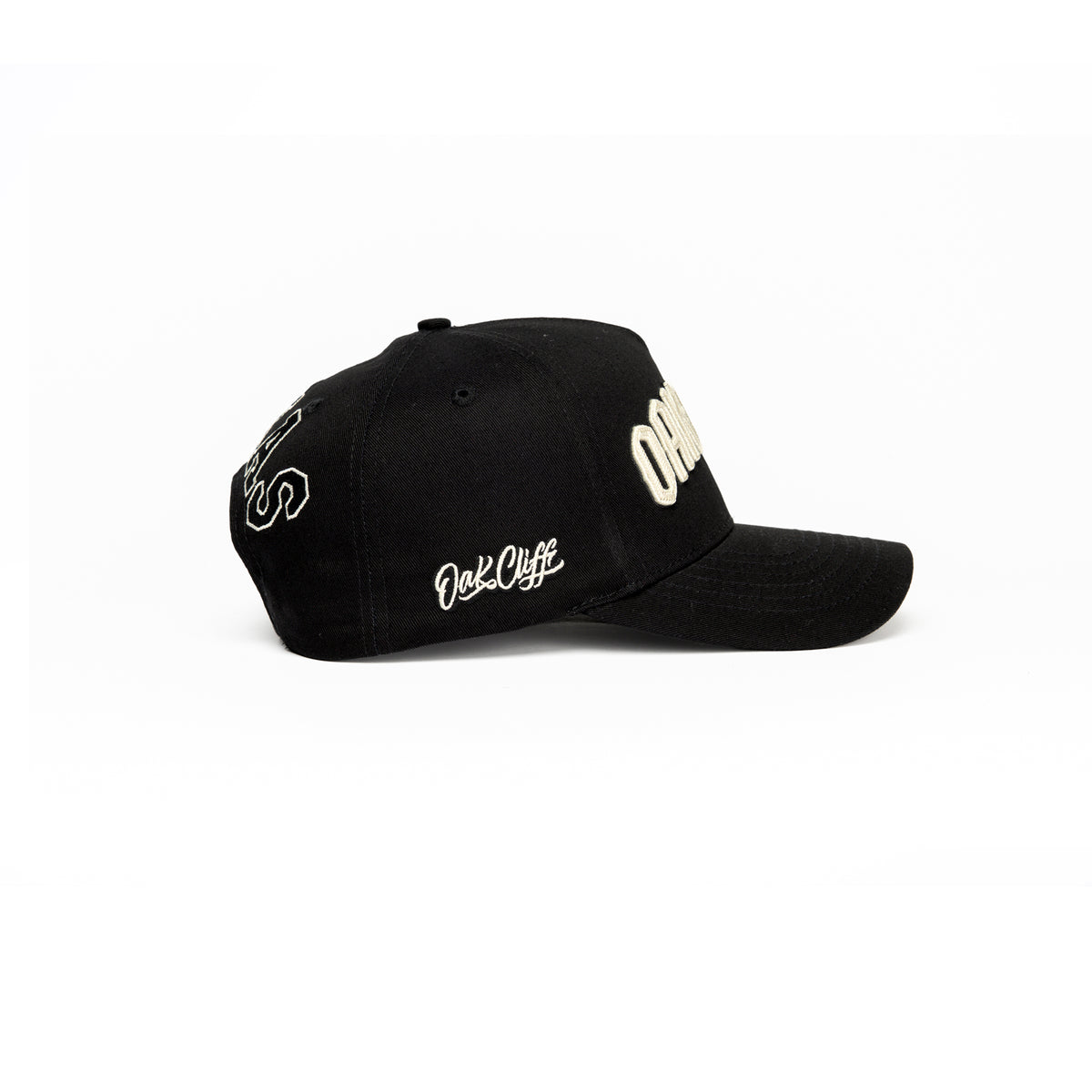 Oak Cliff Arch Black | Dummyfresh