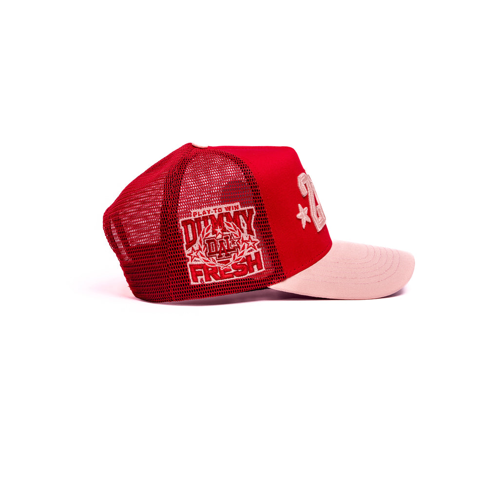 V-DAY DF 214 RED MESH & PINK